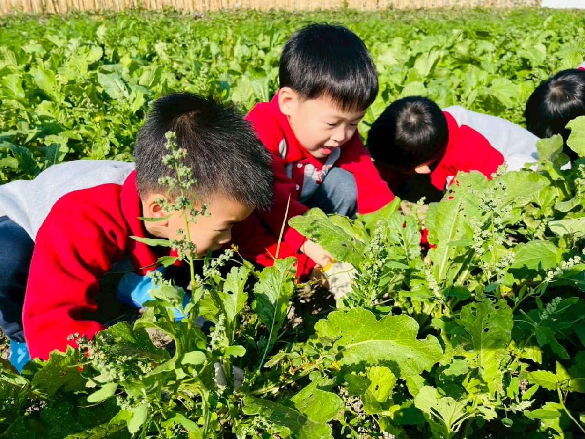 line_album_永哥農莊_260109_38