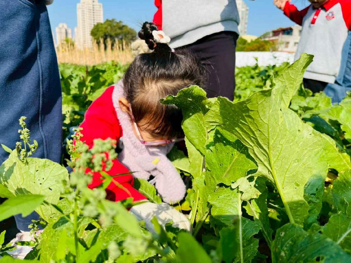 line_album_永哥農莊_260109_44