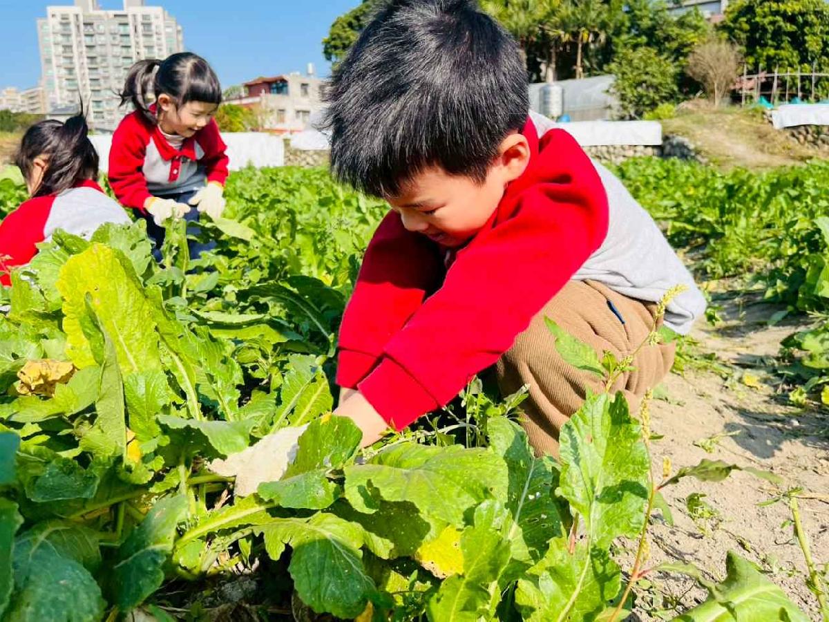 line_album_永哥農莊_260109_45