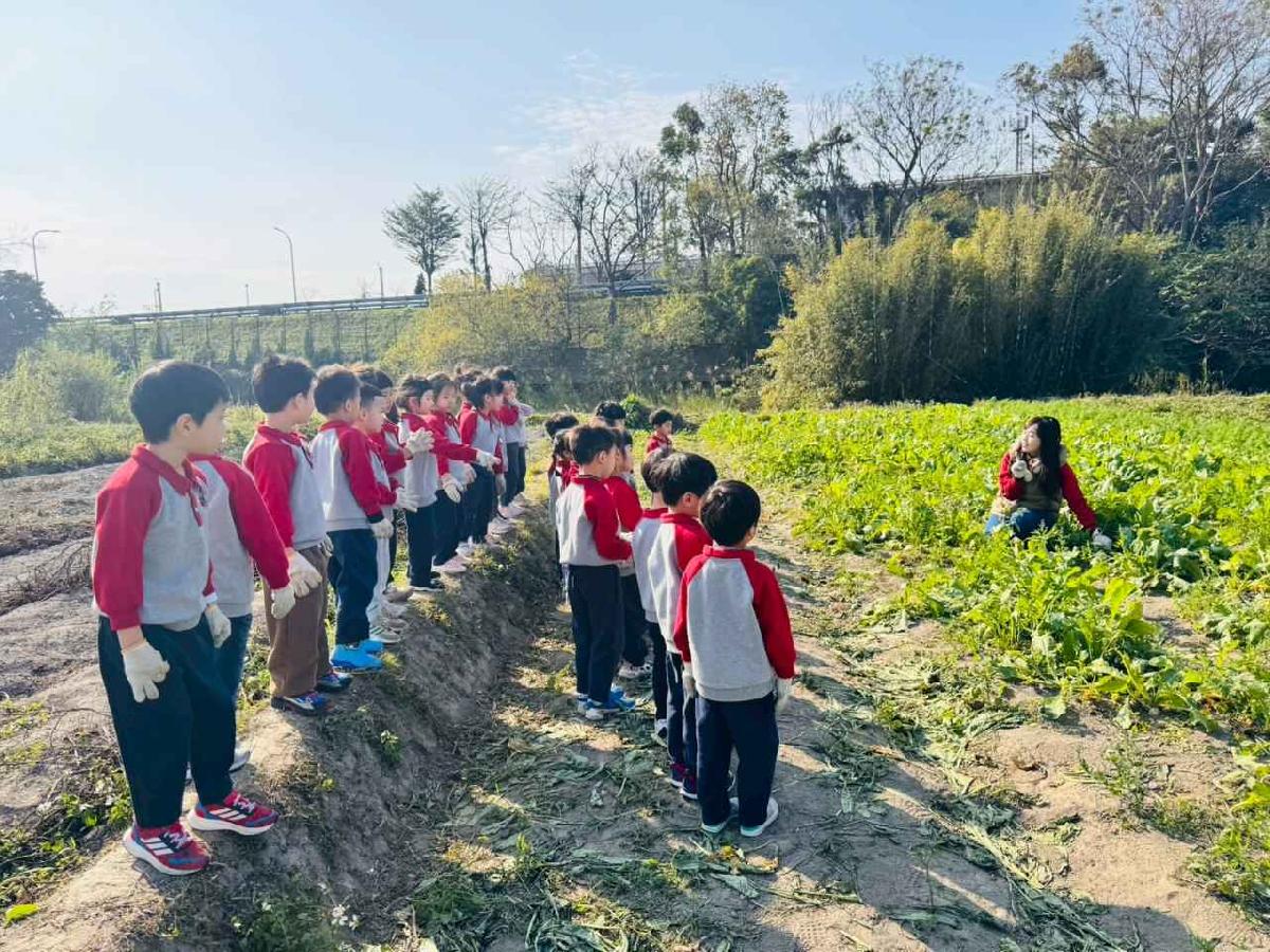 line_album_永哥農莊_260109_299