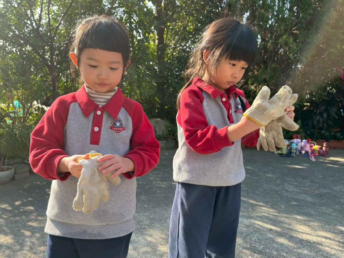 line_album_永哥農莊_260109_9