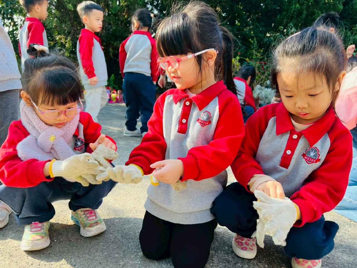 line_album_永哥農莊_260109_143