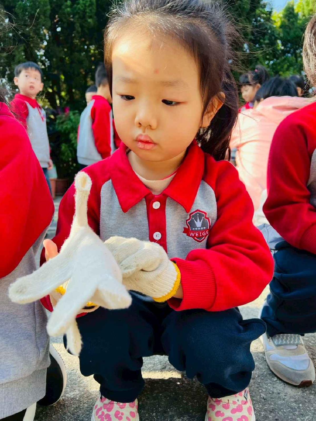 line_album_永哥農莊_260109_144