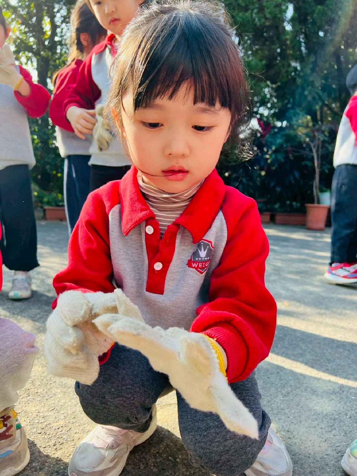 line_album_永哥農莊_260109_147