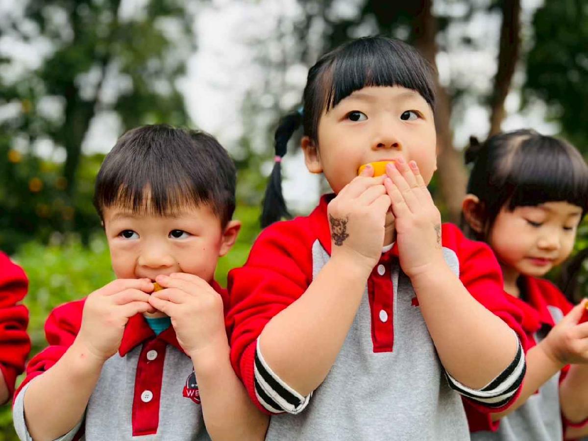 line_album_1150112蔡老師果園_260112_127