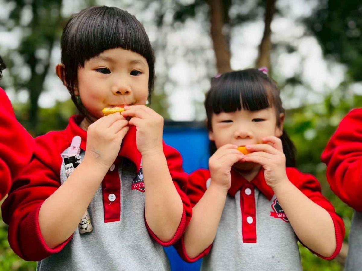 line_album_1150112蔡老師果園_260112_125