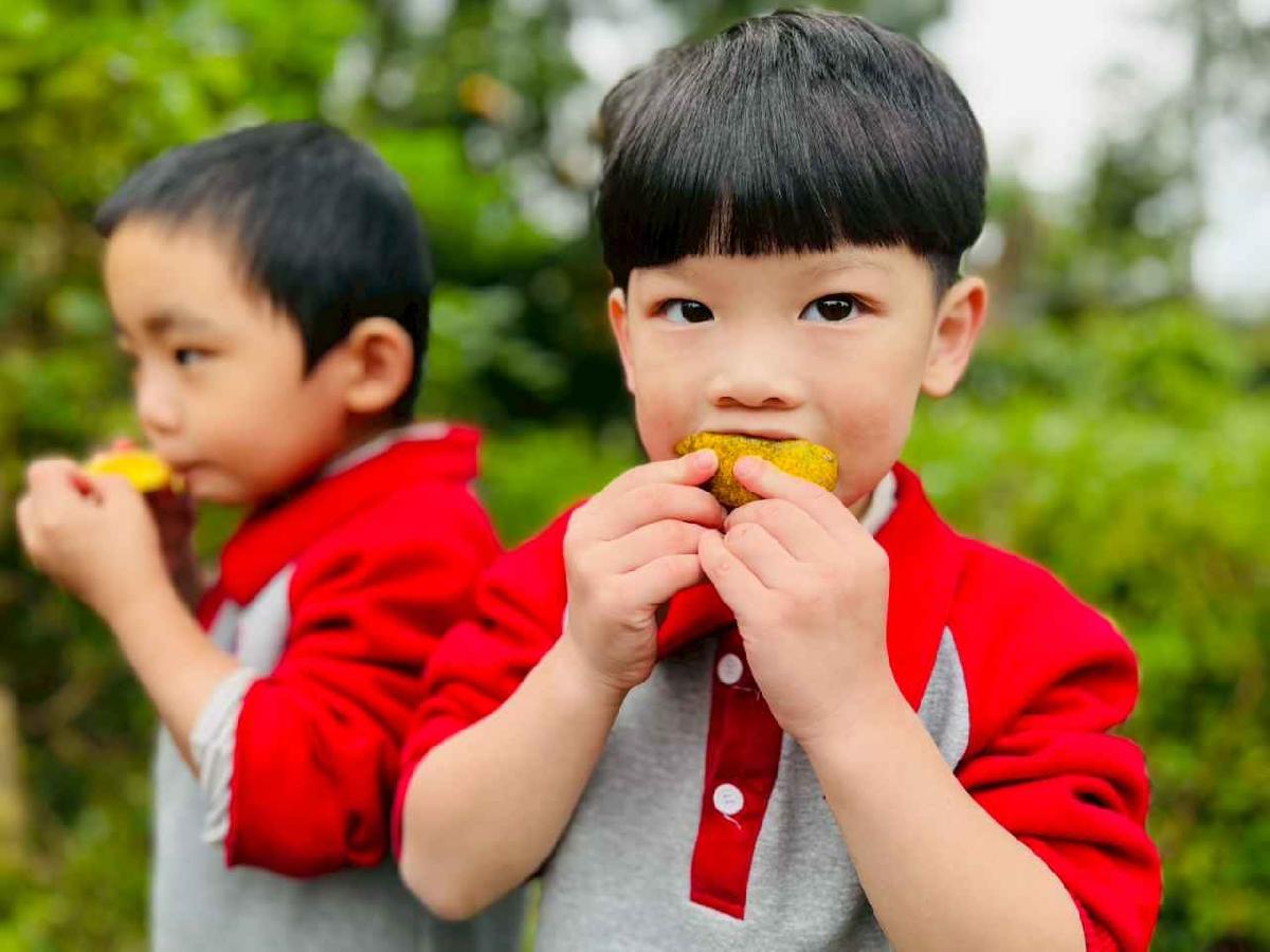 line_album_1150112蔡老師果園_260112_135