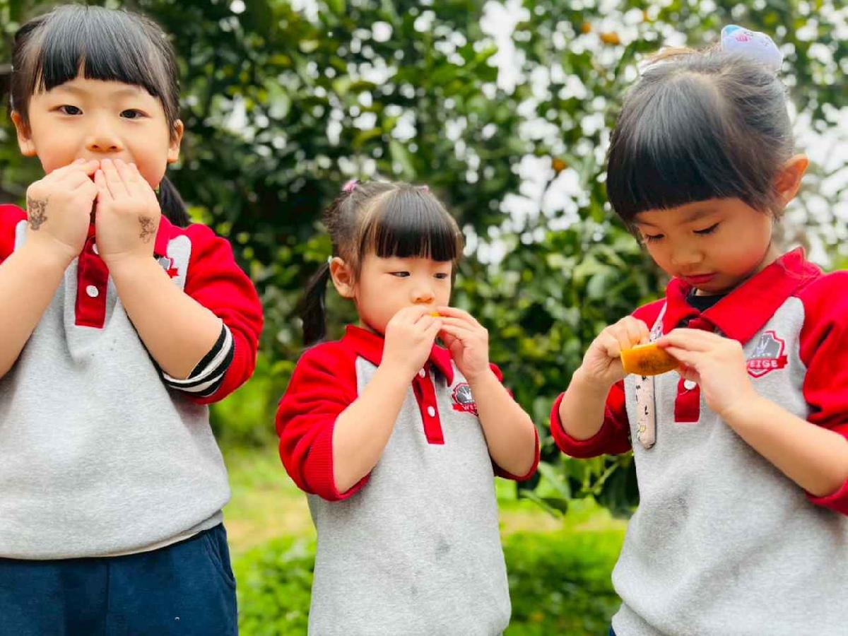 line_album_1150112蔡老師果園_260112_138