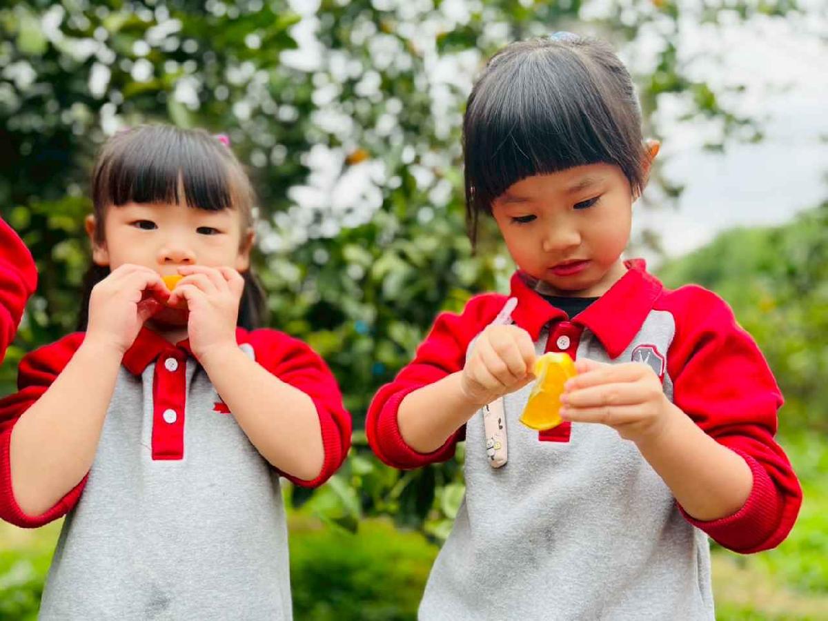 line_album_1150112蔡老師果園_260112_139