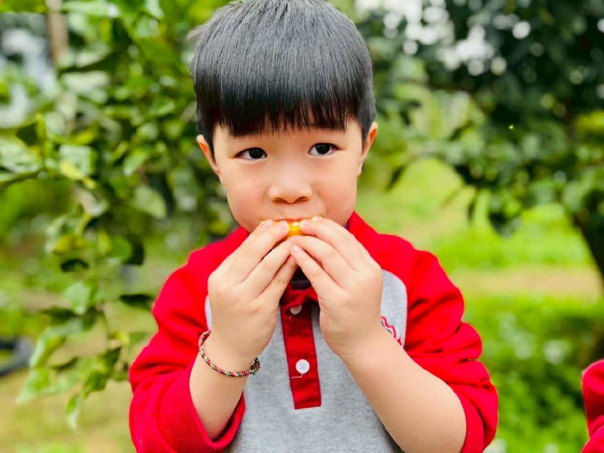 line_album_1150112蔡老師果園_260112_142