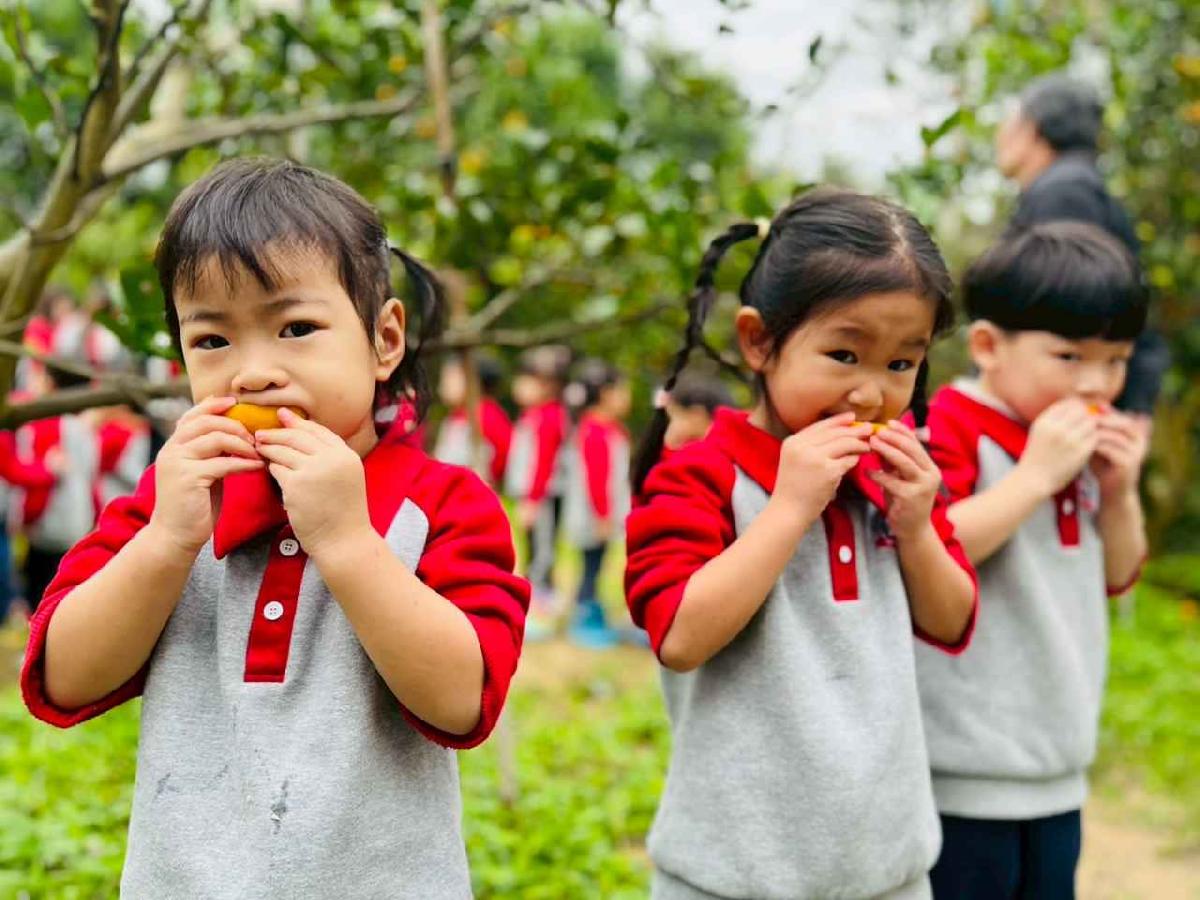 line_album_1150112蔡老師果園_260112_152