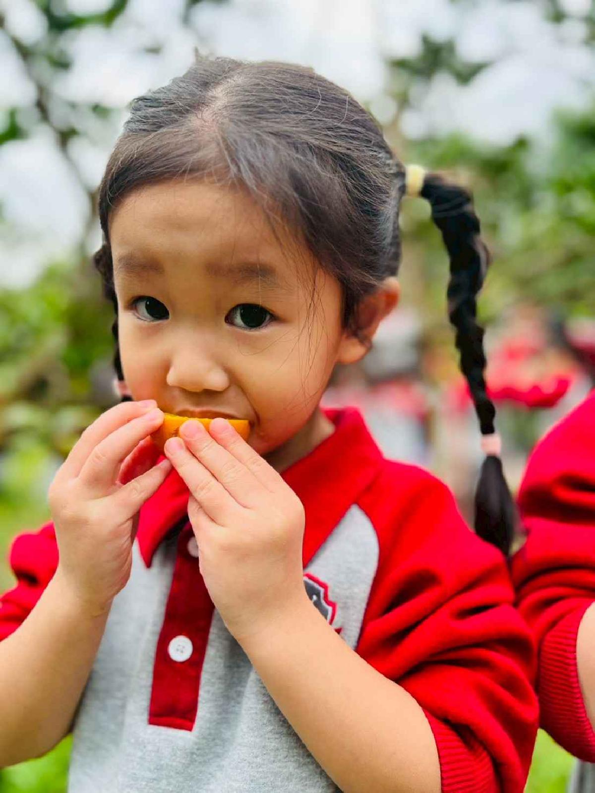 line_album_1150112蔡老師果園_260112_1