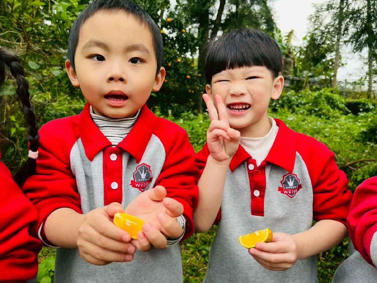 line_album_1150112蔡老師果園_260112_117