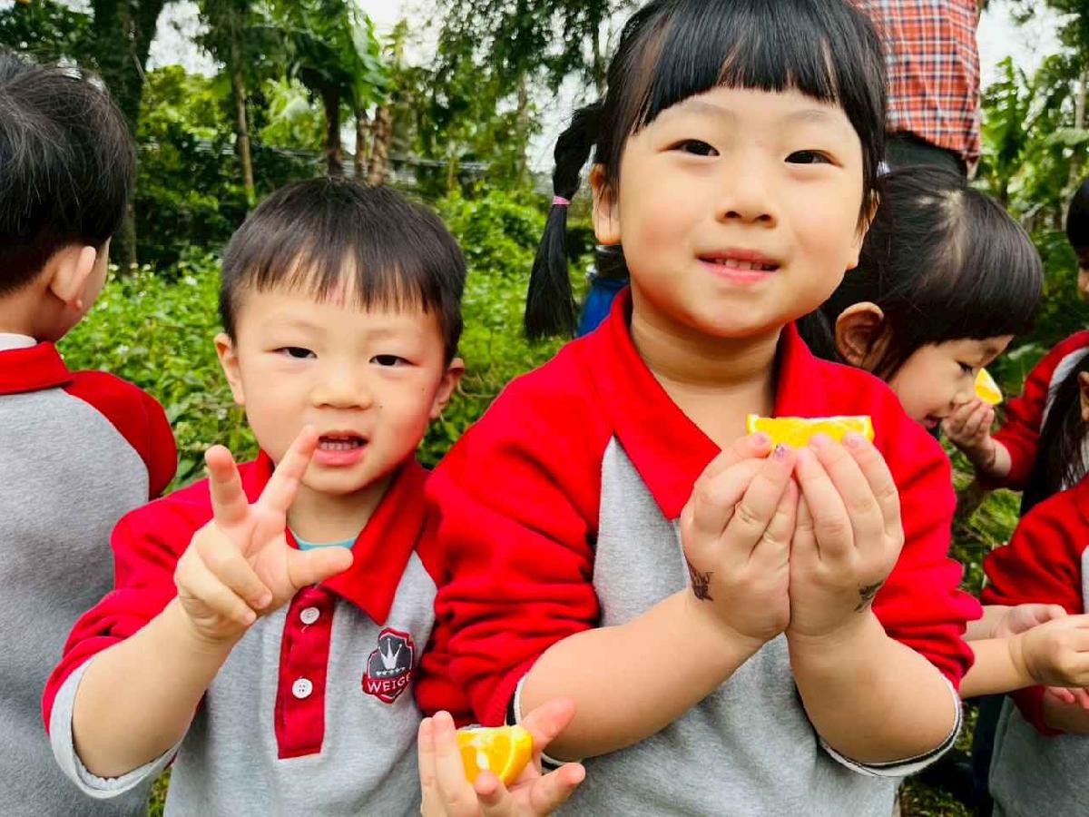 line_album_1150112蔡老師果園_260112_121