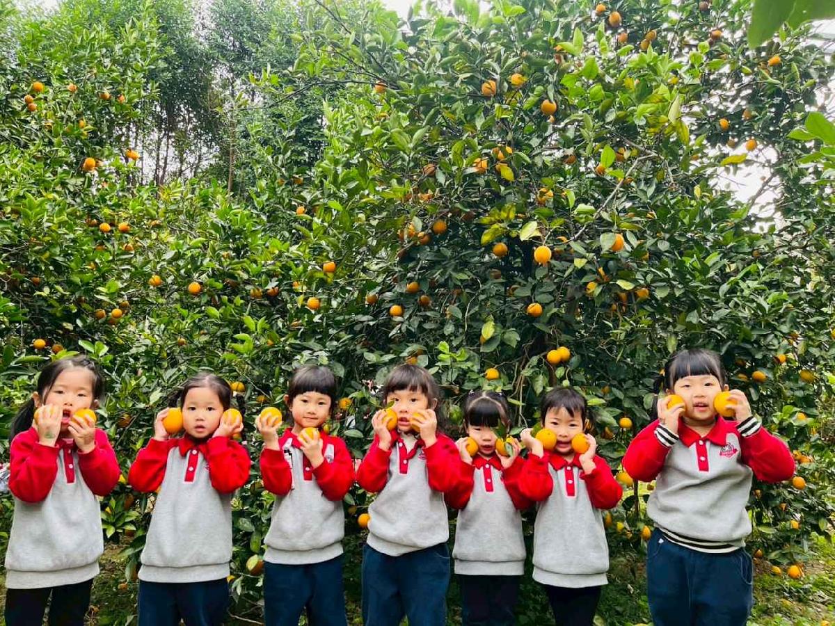 line_album_1150112蔡老師果園_260112_90