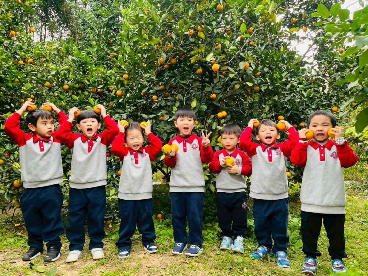 line_album_1150112蔡老師果園_260112_93