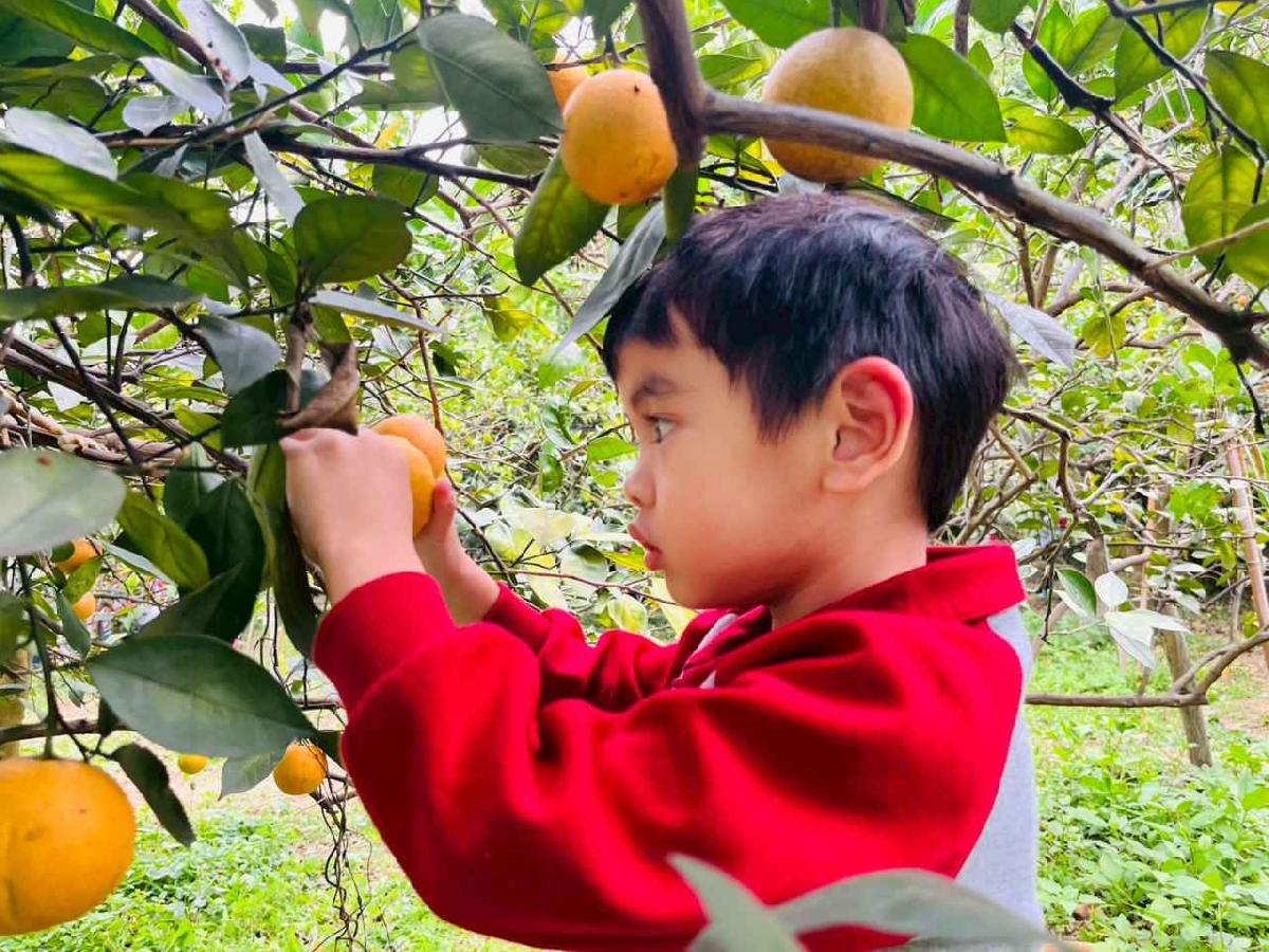 line_album_1150112蔡老師果園_260112_29