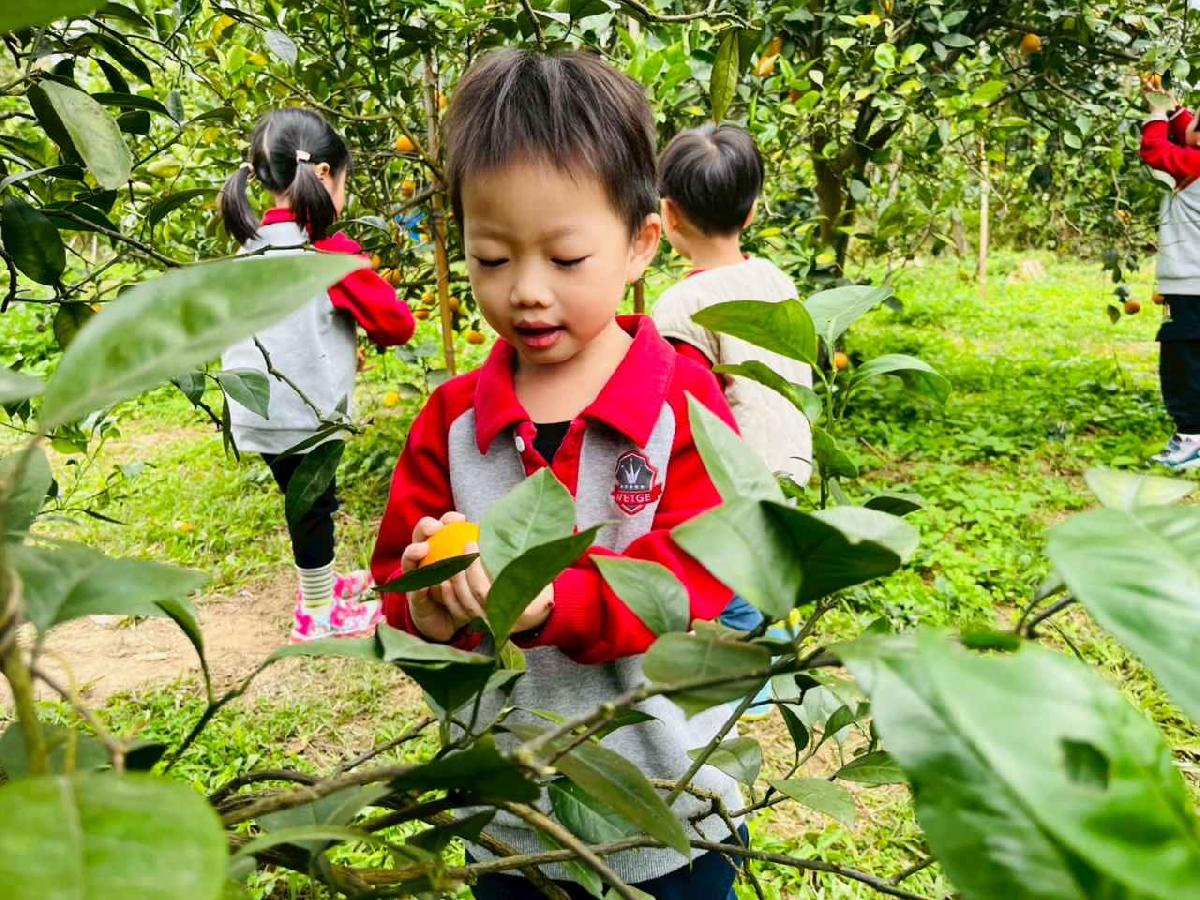 line_album_1150112蔡老師果園_260112_32