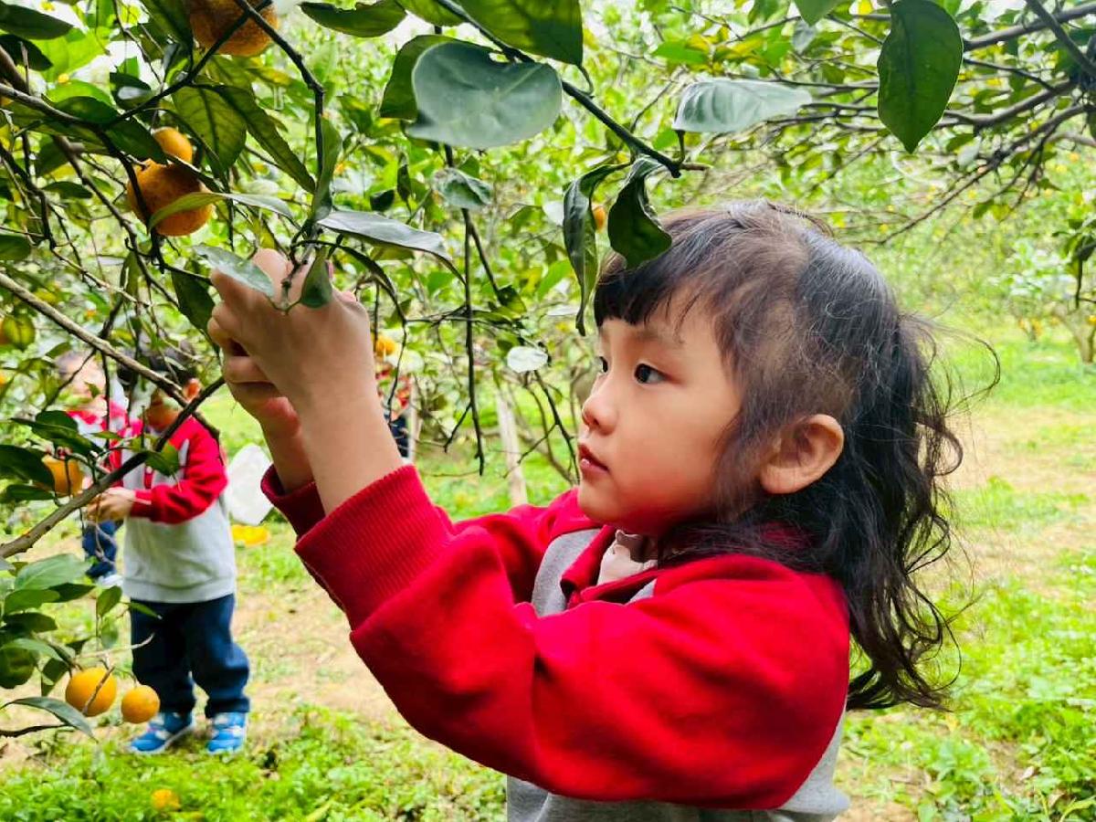 line_album_1150112蔡老師果園_260112_34