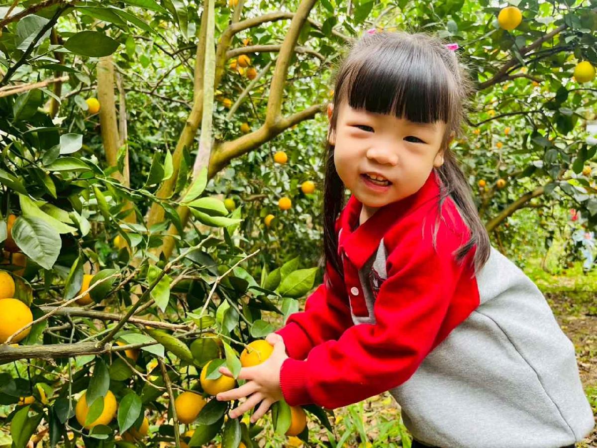 line_album_1150112蔡老師果園_260112_36