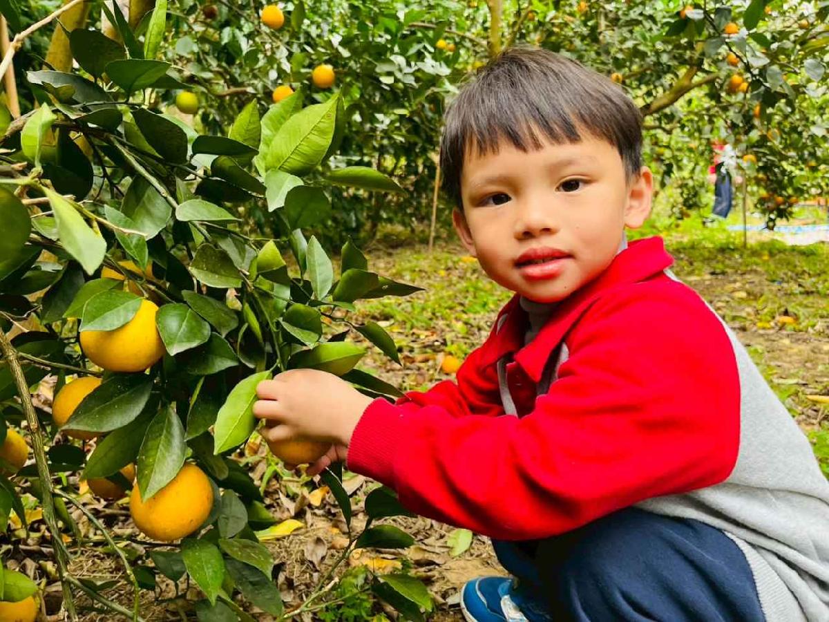 line_album_1150112蔡老師果園_260112_37