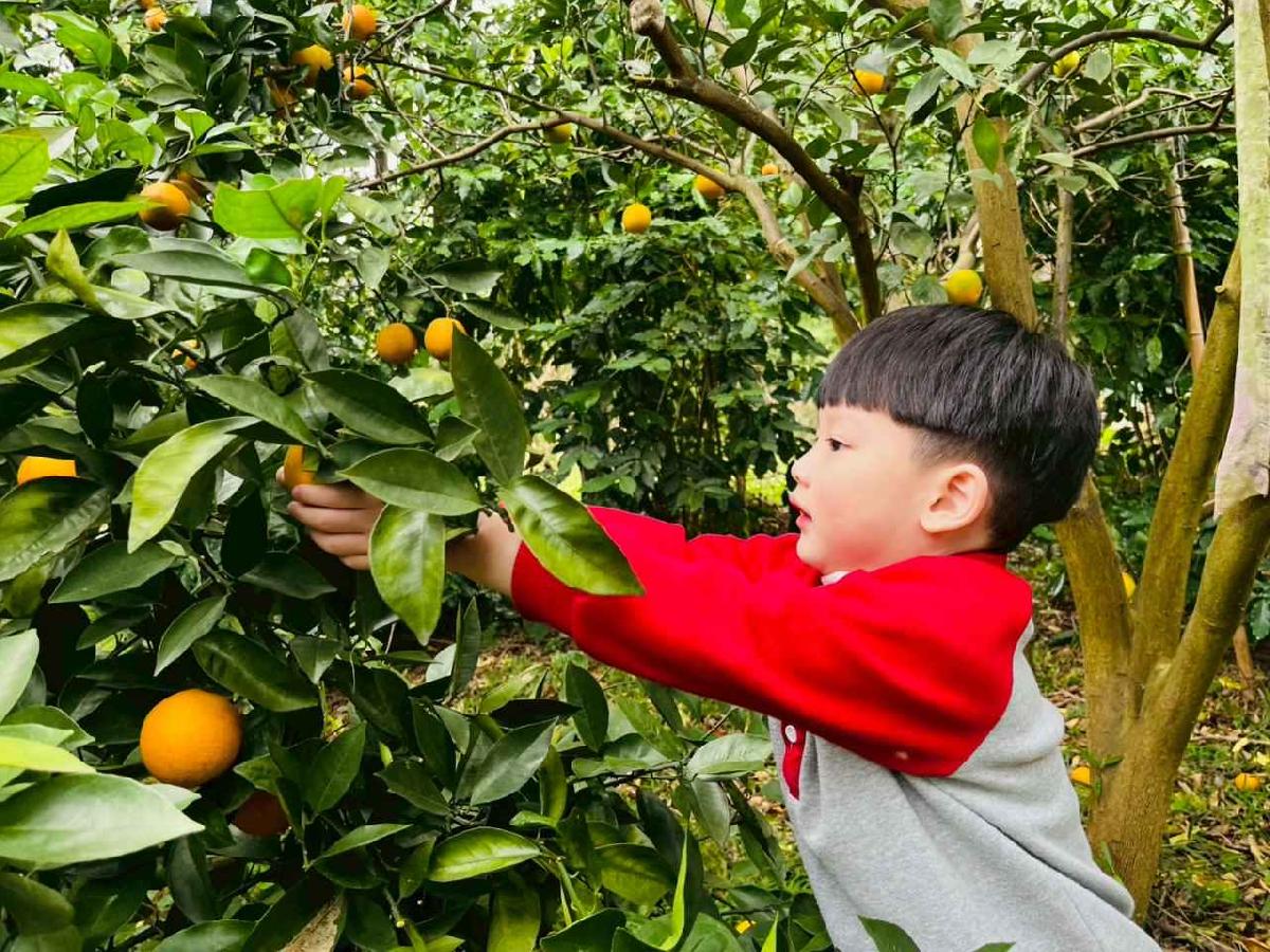 line_album_1150112蔡老師果園_260112_39