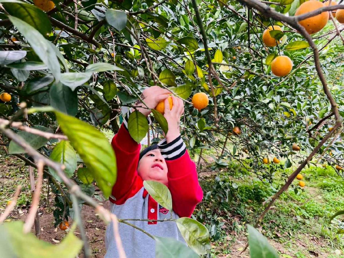 line_album_1150112蔡老師果園_260112_42