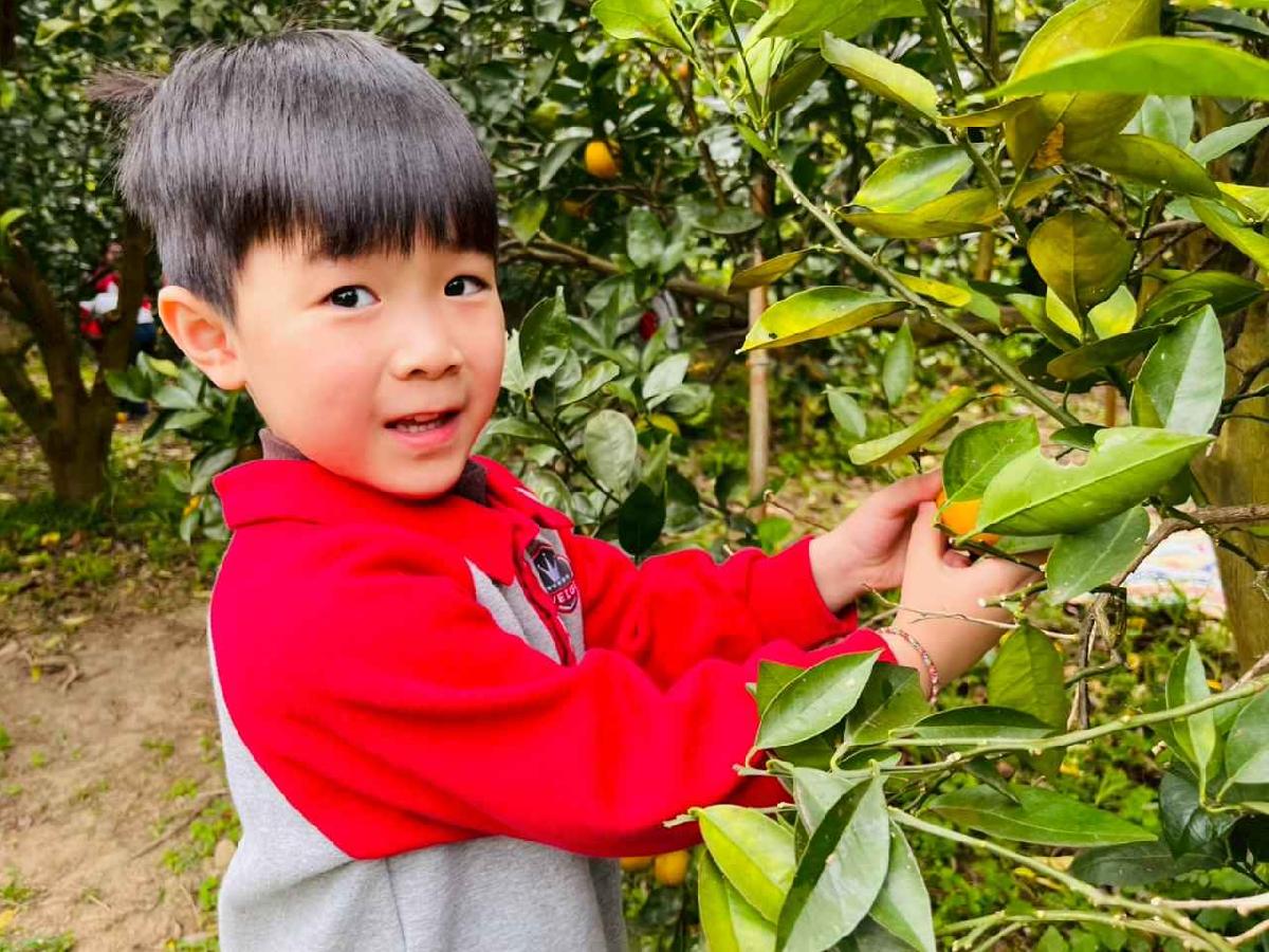 line_album_1150112蔡老師果園_260112_48