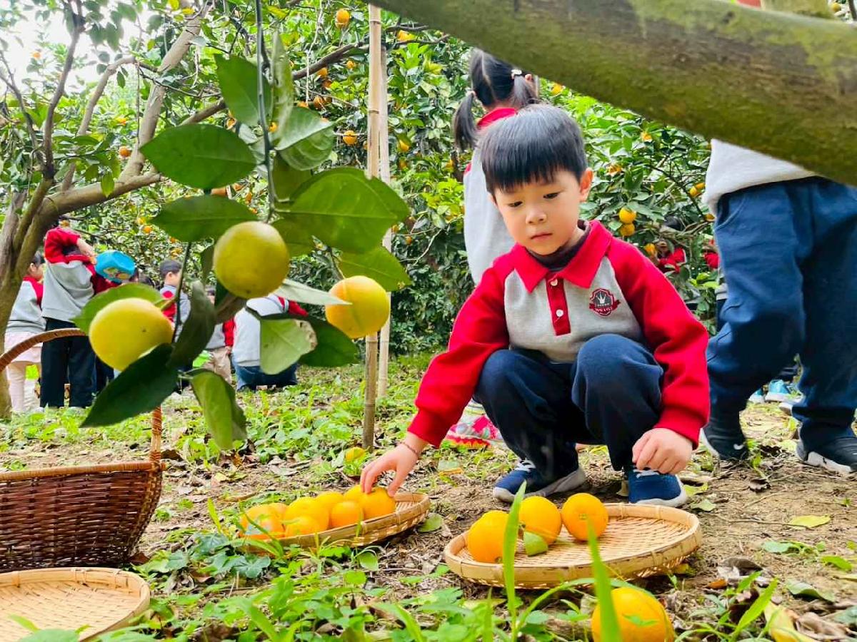 line_album_1150112蔡老師果園_260112_51