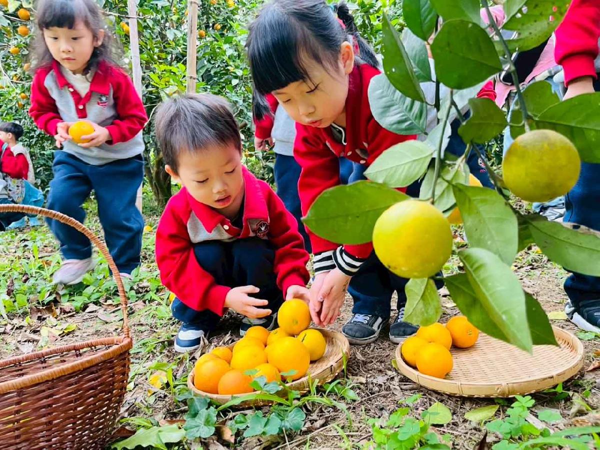 line_album_1150112蔡老師果園_260112_53