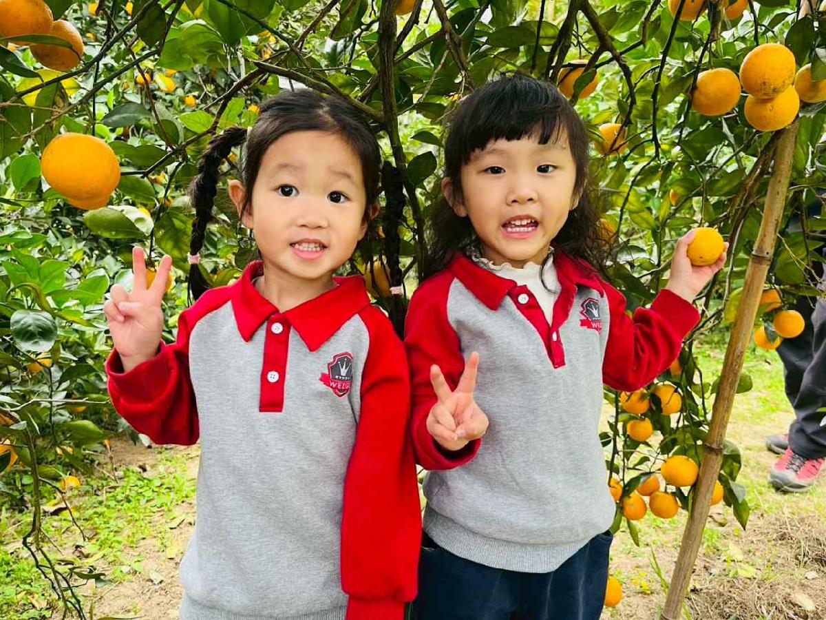 line_album_1150112蔡老師果園_260112_61