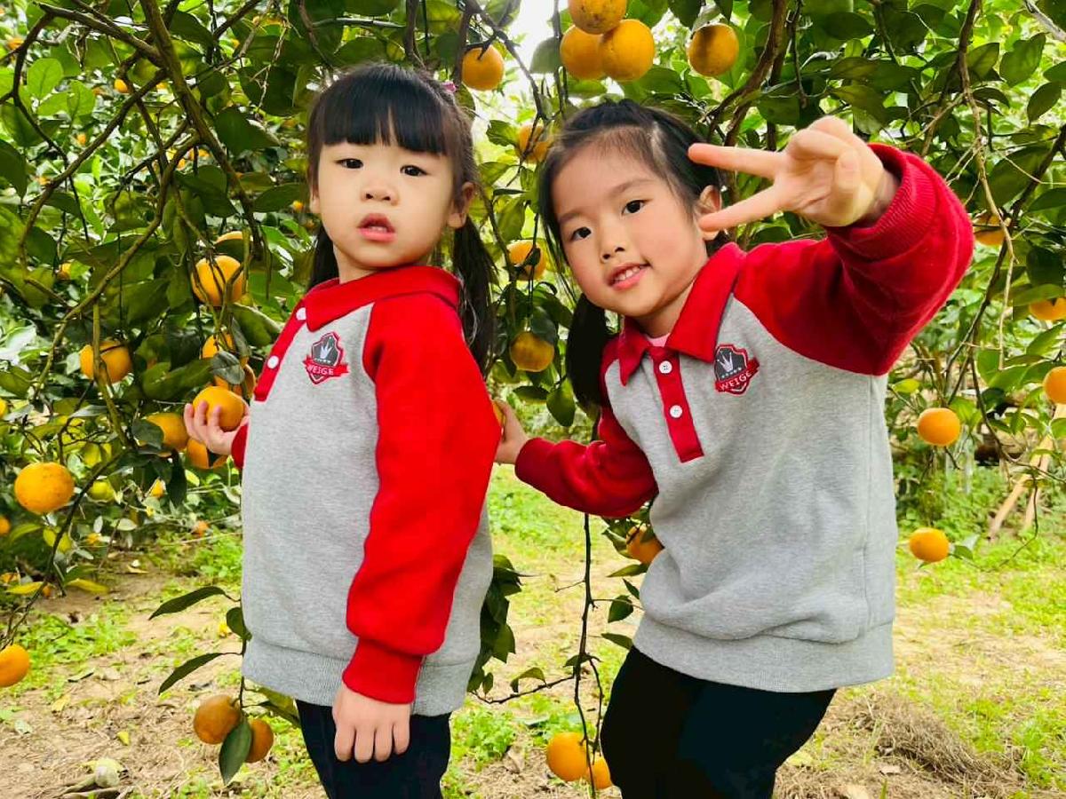 line_album_1150112蔡老師果園_260112_66