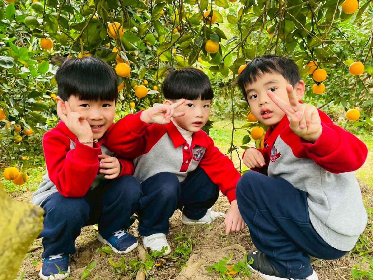 line_album_1150112蔡老師果園_260112_69