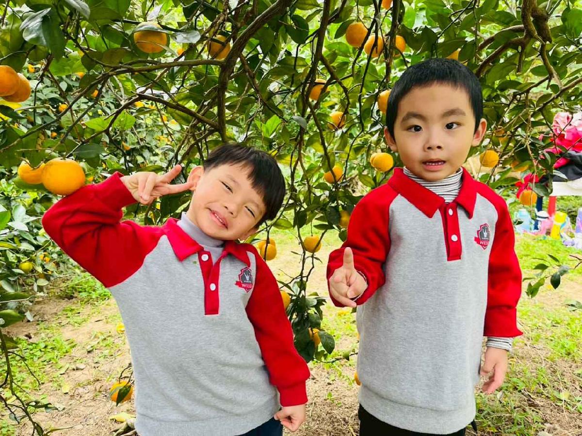 line_album_1150112蔡老師果園_260112_75