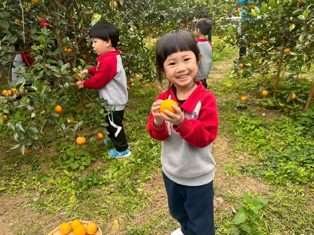 line_album_1150112蔡老師果園_260112_166