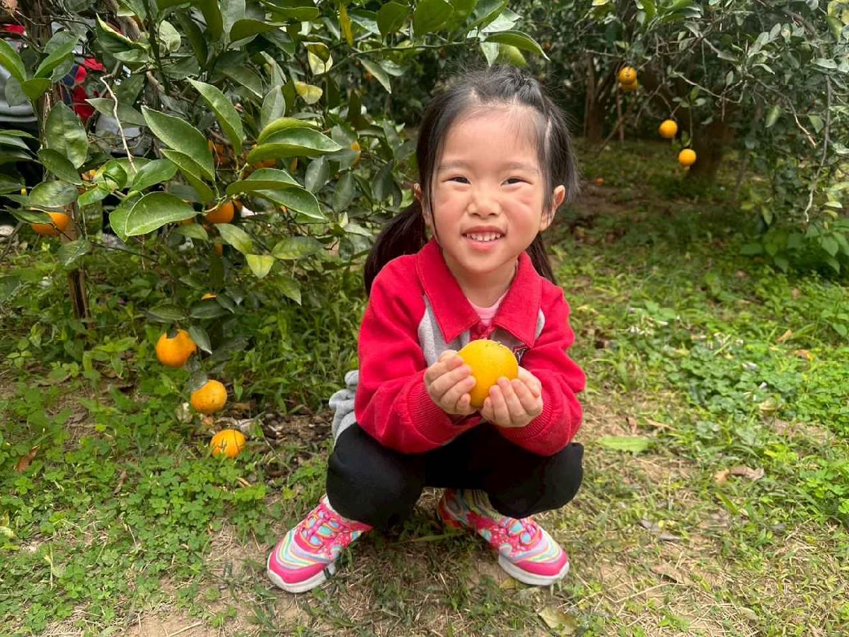 line_album_1150112蔡老師果園_260112_173