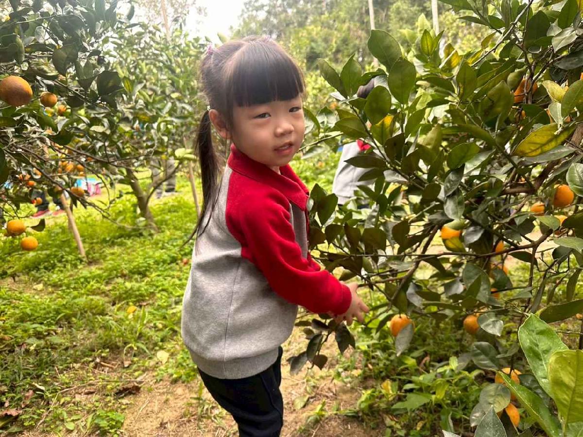 line_album_1150112蔡老師果園_260112_176