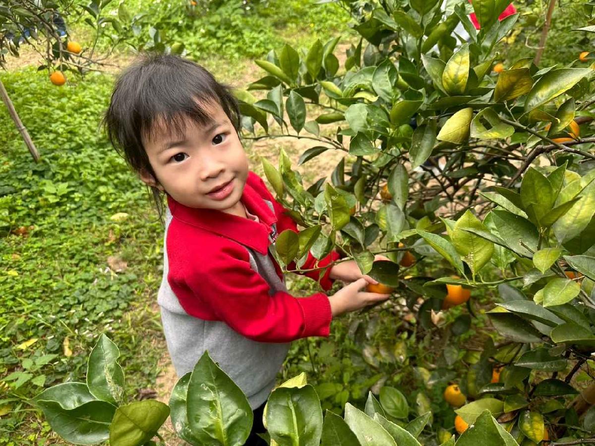 line_album_1150112蔡老師果園_260112_177