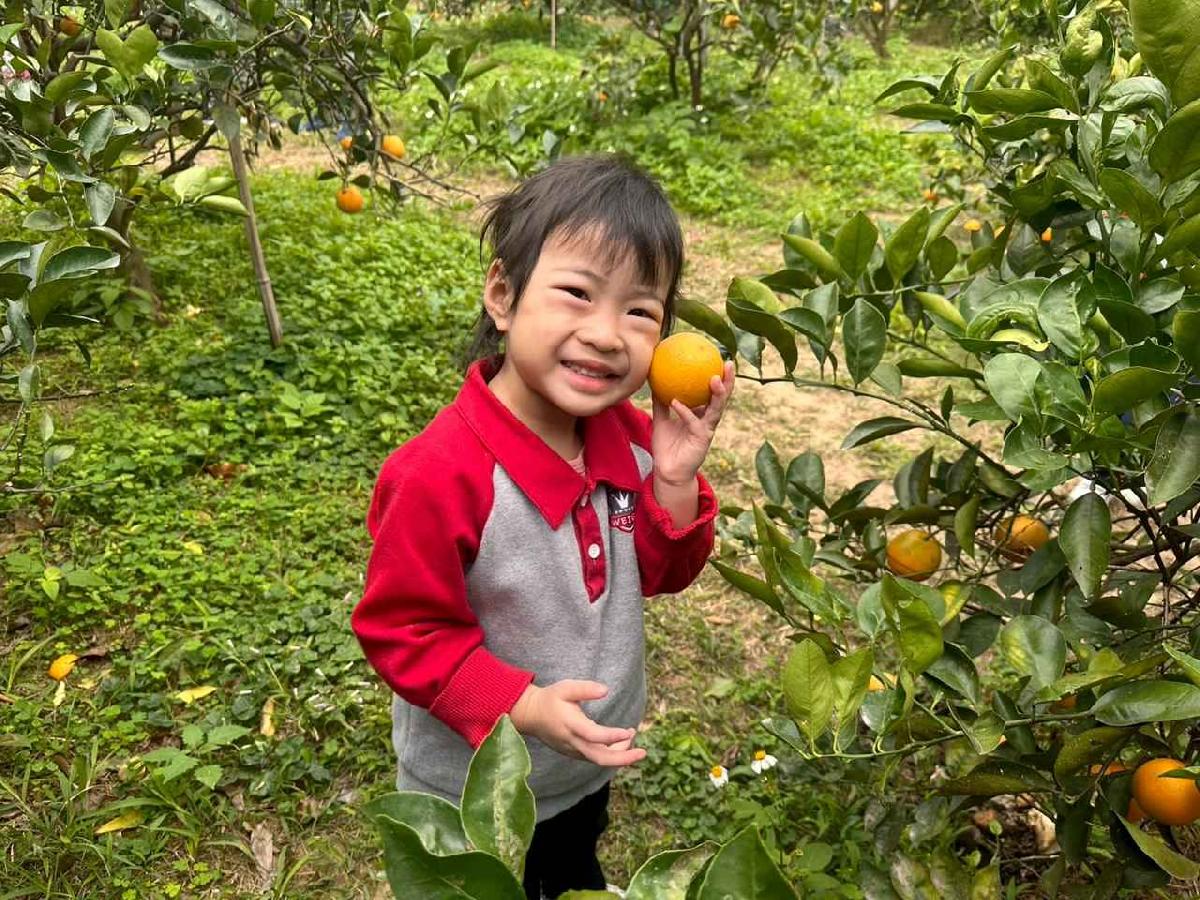 line_album_1150112蔡老師果園_260112_178