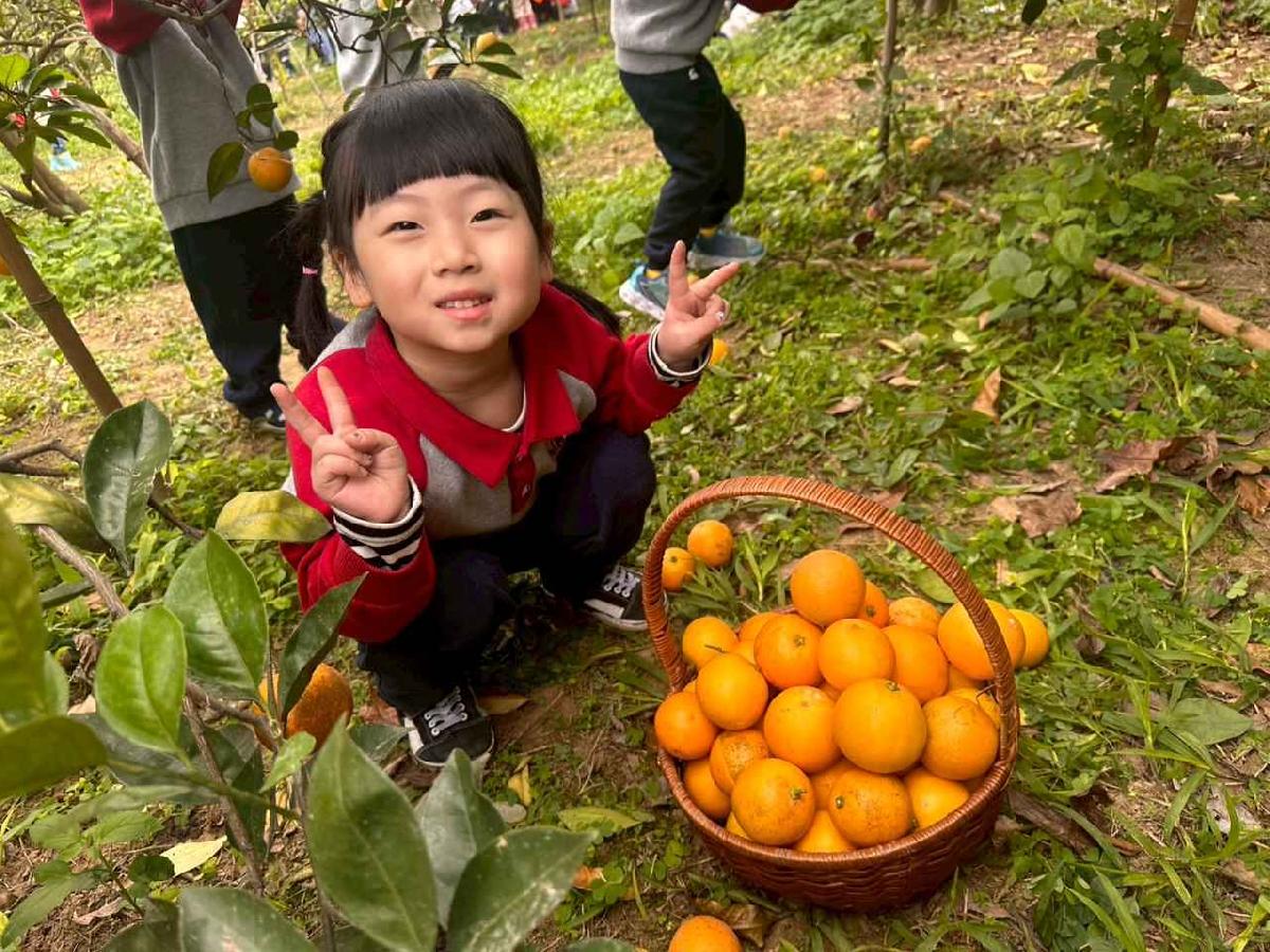 line_album_1150112蔡老師果園_260112_179