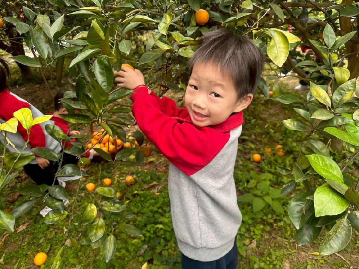 line_album_1150112蔡老師果園_260112_182