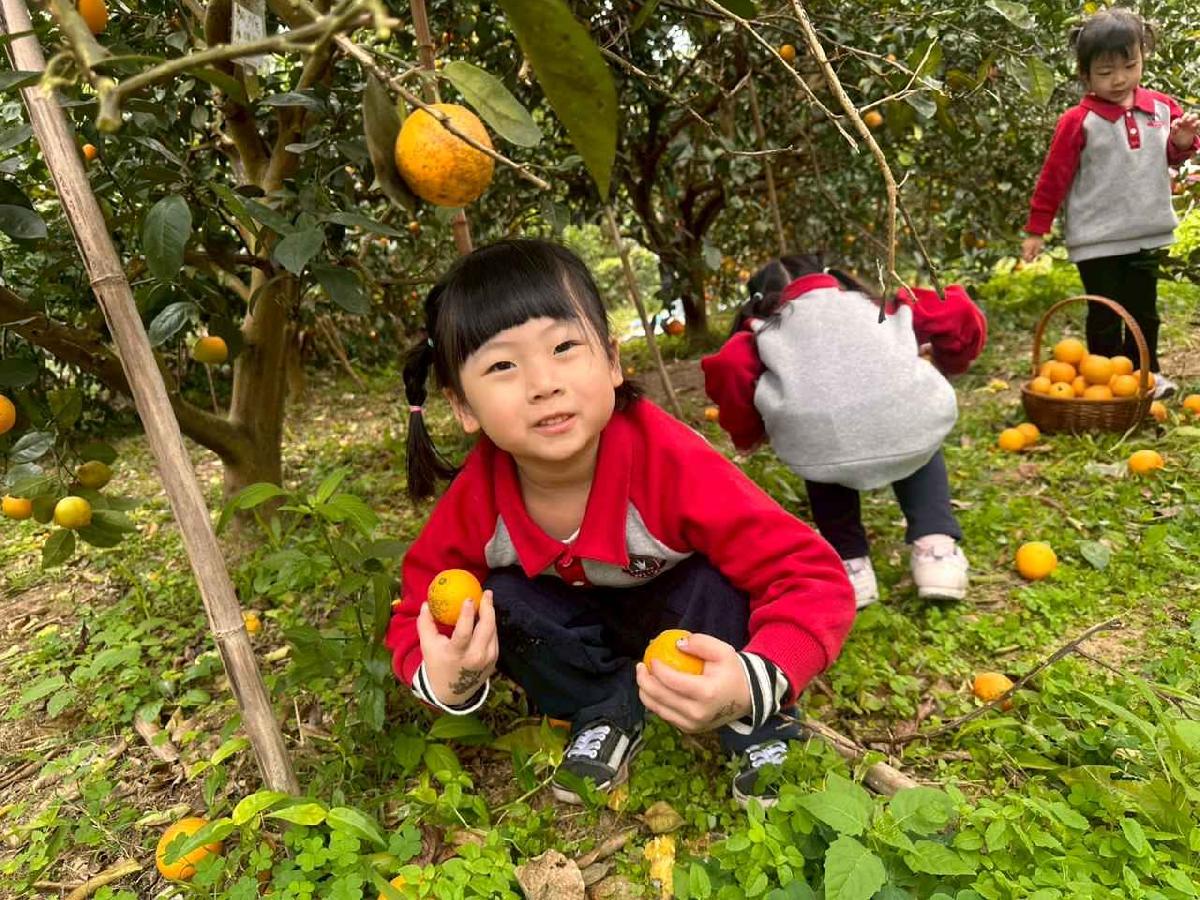 line_album_1150112蔡老師果園_260112_184