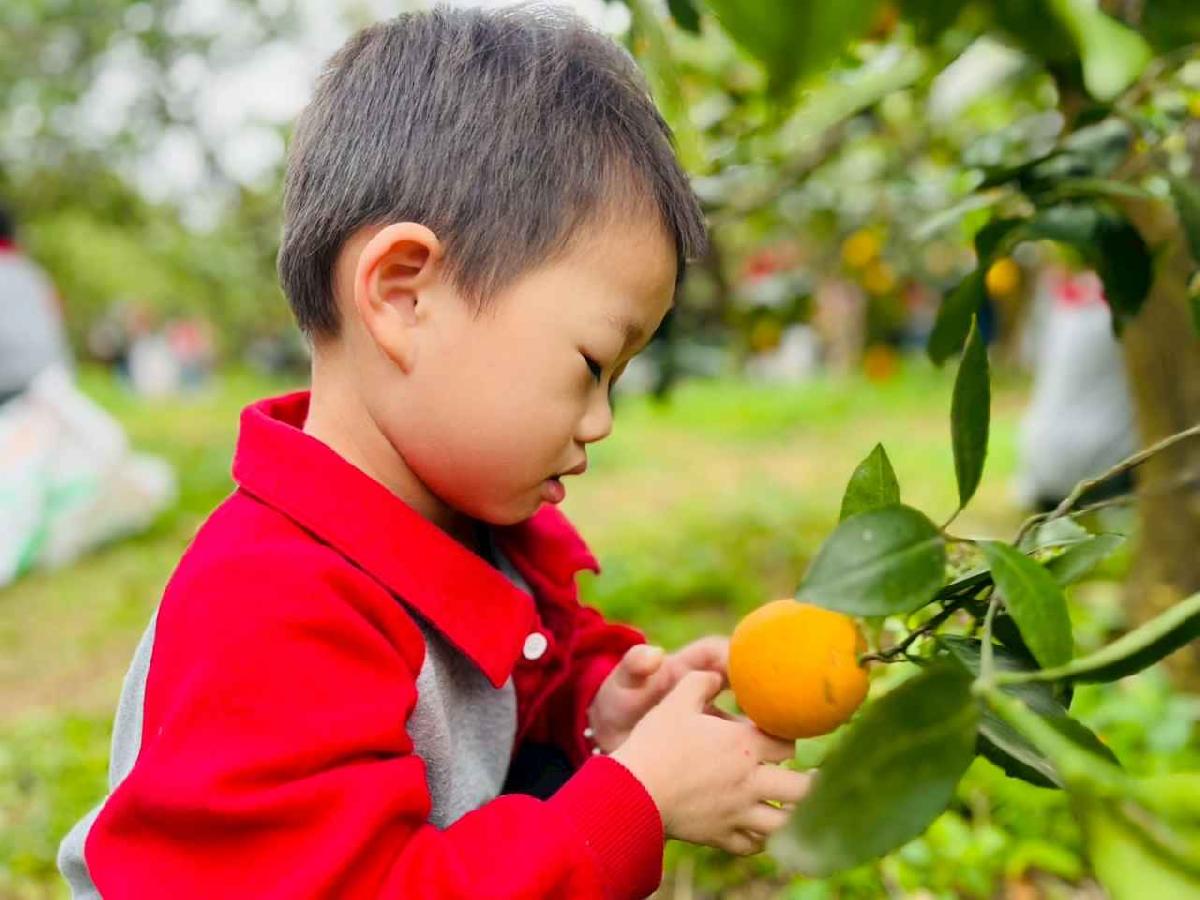 ★採果樂~蔡老師果園