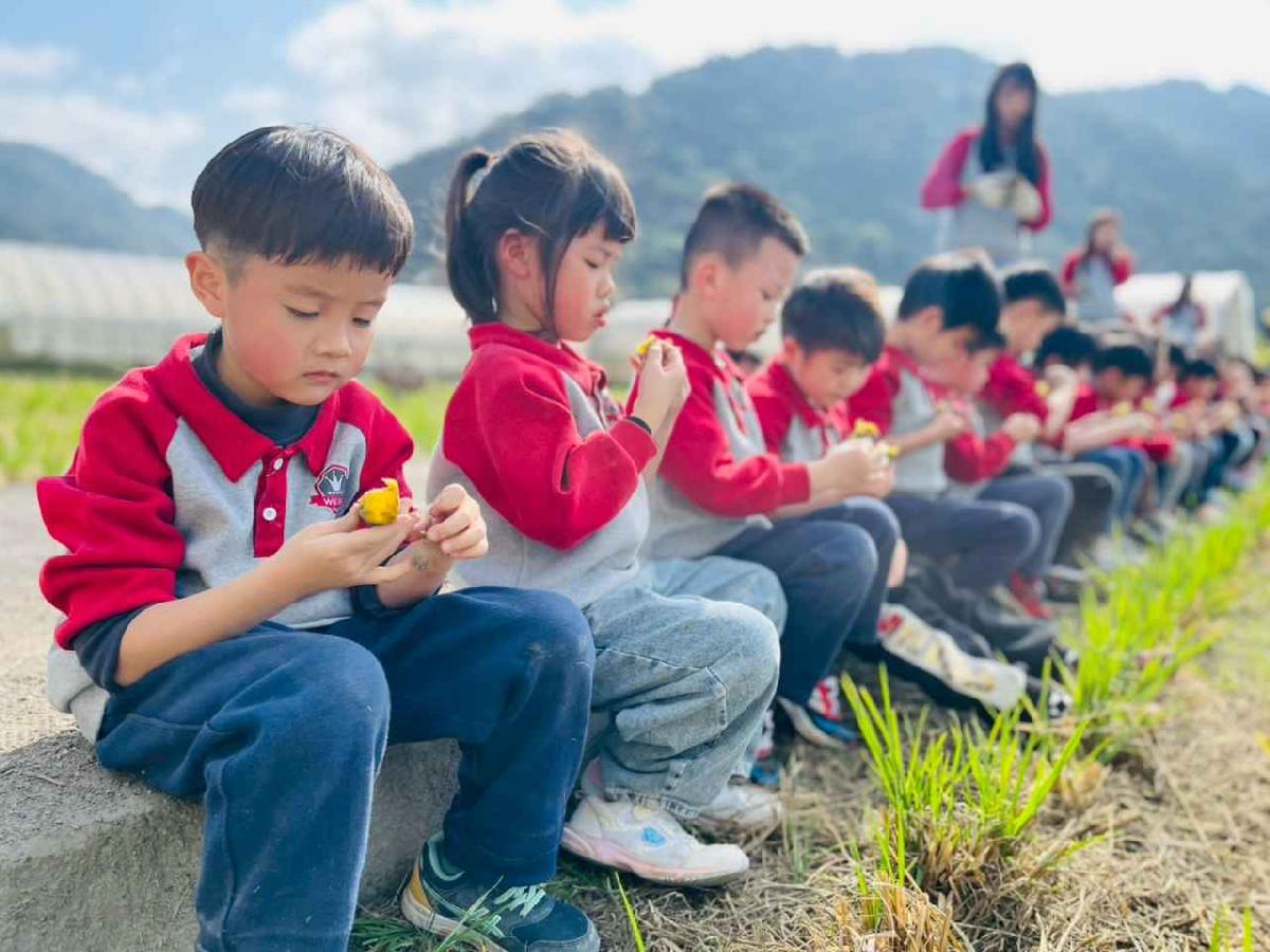 line_album_1150119頤禾園農田體驗_260119_194