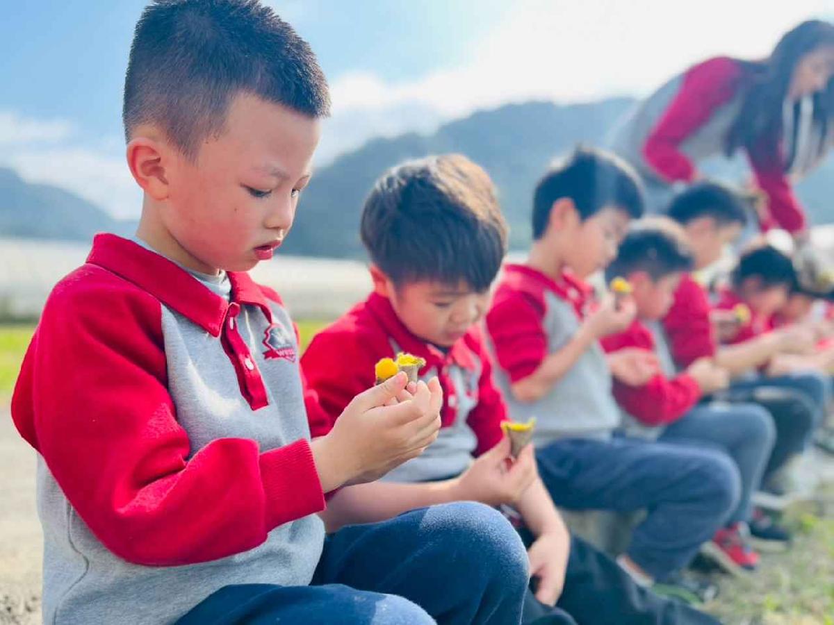 line_album_1150119頤禾園農田體驗_260119_195