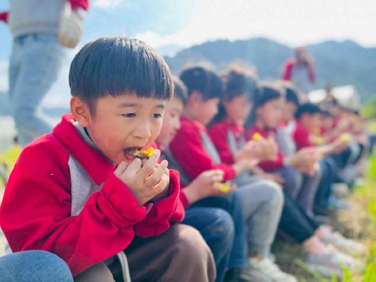 line_album_1150119頤禾園農田體驗_260119_201