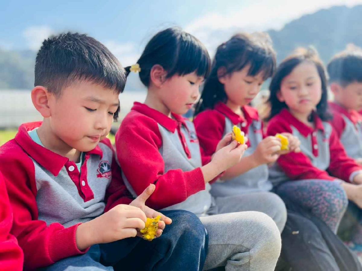 line_album_1150119頤禾園農田體驗_260119_202