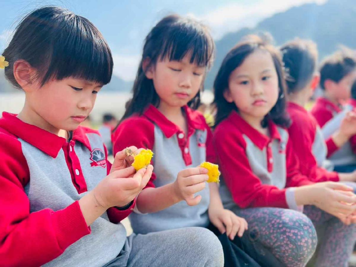 line_album_1150119頤禾園農田體驗_260119_203