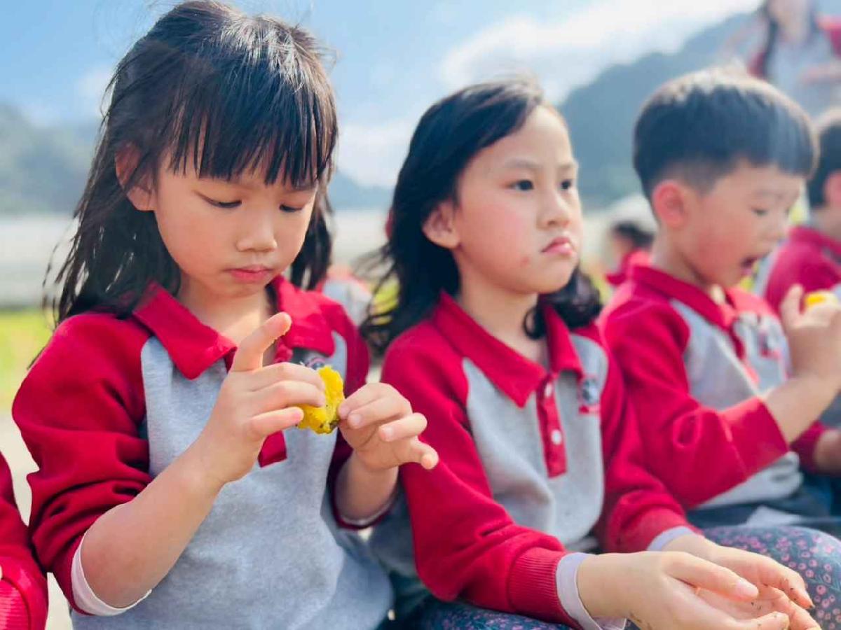 line_album_1150119頤禾園農田體驗_260119_204