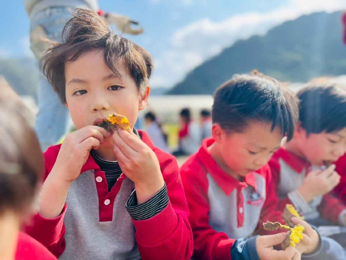 line_album_1150119頤禾園農田體驗_260119_207